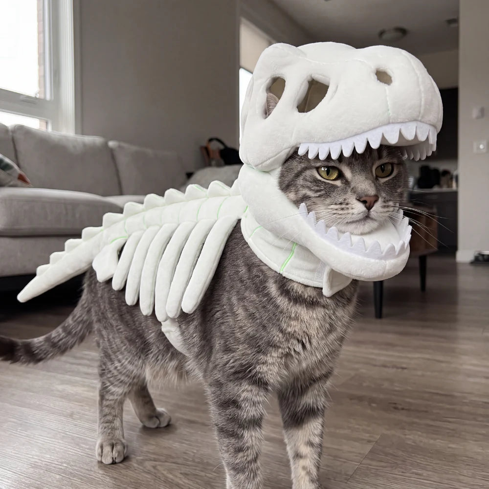 DinoPaws