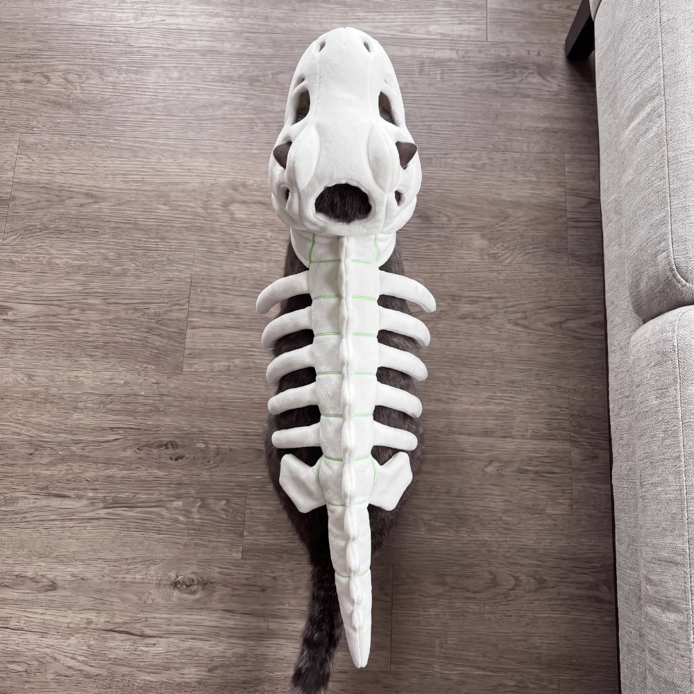 DinoPaws