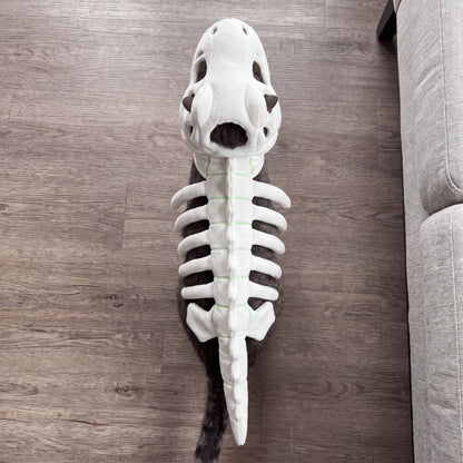 DinoPaws