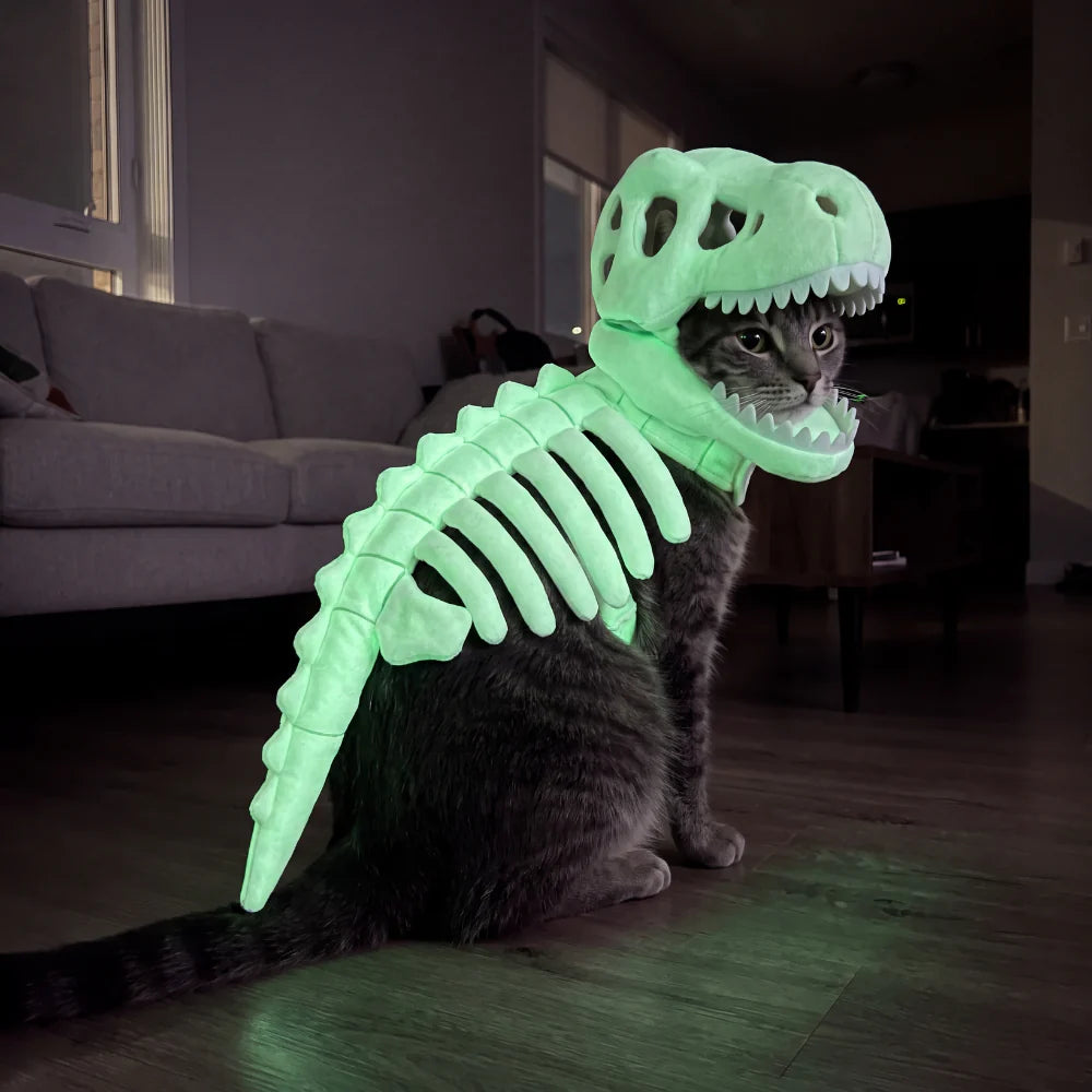 DinoPaws