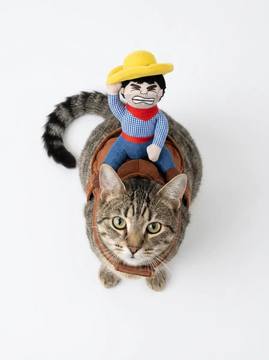 Cowboy Kitty