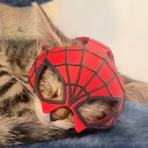 Spidey Cat Mask
