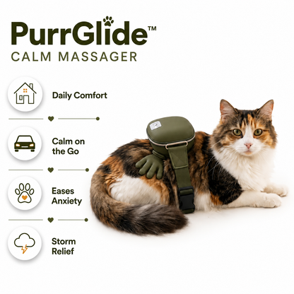 PurrGlide